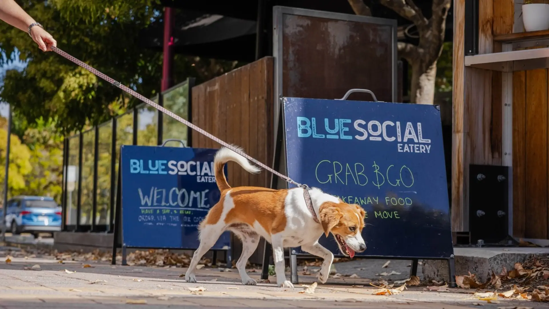 Dog Friendly Blue social