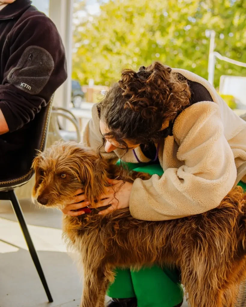 Dog-Friendly Café with Puppacinos in Invermay Launceston 1 Dog Friendly Café